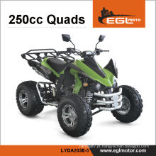 Rua Off-Road de 250cc de ATV QUAD legal